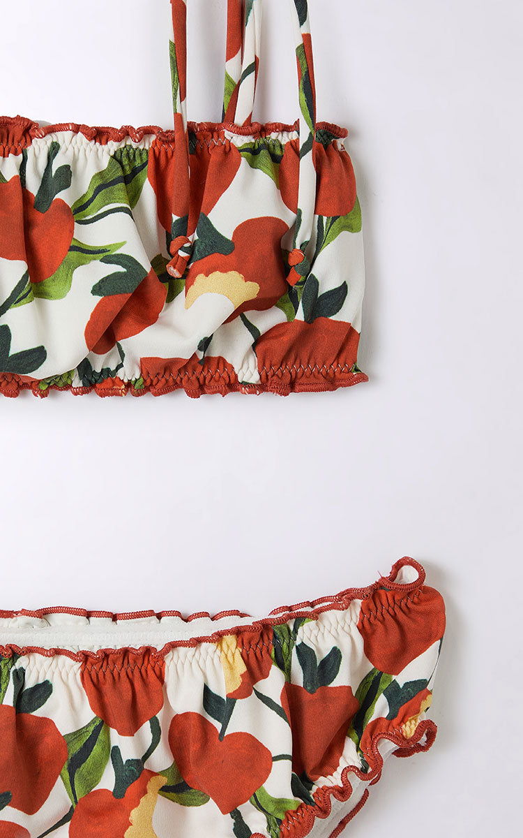 Bikini Manzanita